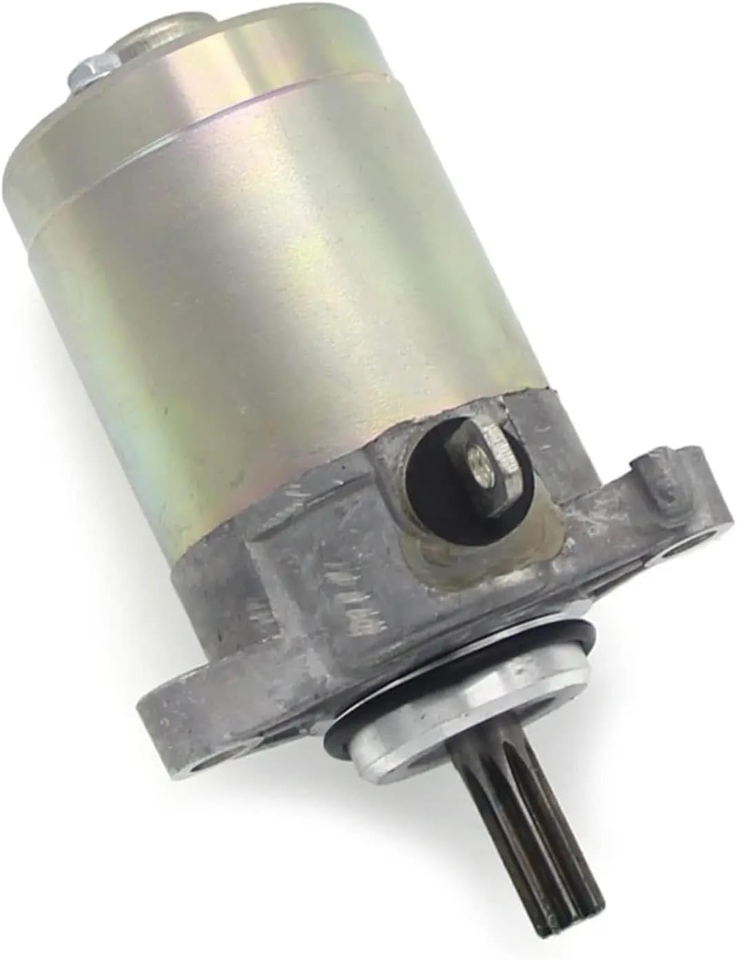 ヤングマガジン48号 夏井ちひろ サイン入りチェキ