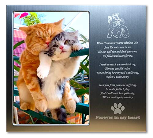 JOEZITON Pet Memorial Gift Personalized 4x6 Picture Frame (Opts) for Loss of Cats