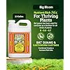 Fox Farm Big Bloom Liquid Plant Food - Organic Bloom Fertilizer for Flowering & Fruiting Plants, Contains Earthworm Castings & Bat Guano - Supports All Stages of Plant Growth - 0-0.5-0.7 NPK,2.5Gallon