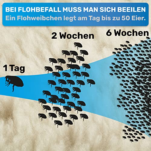 BluePet Robuster Flohkamm & Läusekamm Für Hunde & Katzen I Flöhe, Läuse & Zecken entfernen I Sanfte abgerundete Zinken I Als feiner Hundekamm, Staubkamm, Nissenkamm nutzbar