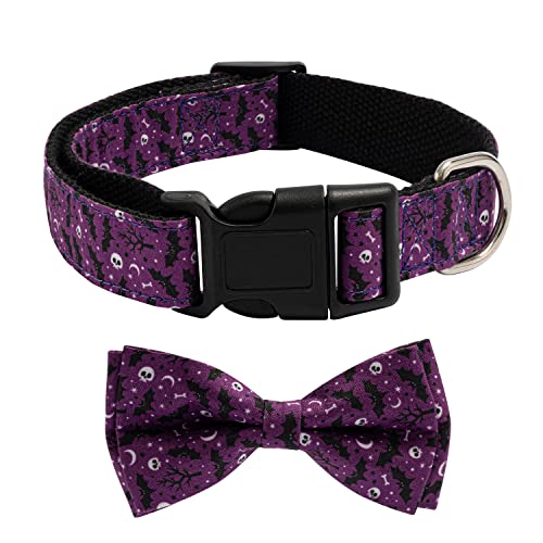 TDTOK nEB ̎ lN^Ct ߉\ nEB sCȌ̎ ɗDvX`bNobN sCȓW RE   pvL ̎ ^  ^p