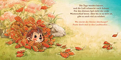 Schlaf schön, kleiner Igel (Mini-Ausgabe): Eine süße Abenteuergeschichte für die Allerkleinsten - zum Pusten, Drücken, Streicheln und Kitzeln (Mitmachpappen, Band 2)