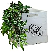 Kistenkolli Altes Land Holzkiste Aufbewahrungskiste passend für alle Kallaxregale und Expidit Reg...