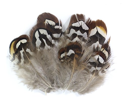 All In One Natural Feather For Diy Craft (Brown Chicken Feathers) #TOP14