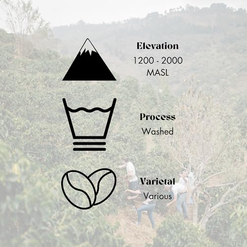 Good Citizen Coffee Co. Chin Up Whole Bean Coffee, Medium-Roast Coffee Blend, 12 Ounces, 340 Grams #TOP6