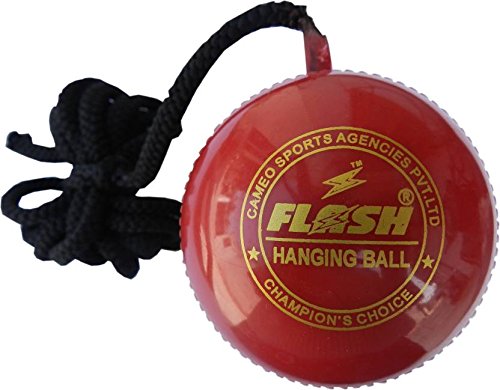 Onekbhalo Hanging Practice Ball (B076YBK97P) Amazon Price History, Amazon Price Tracker