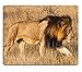Produktbild Mauspad Gaming Mouse pad Naturkautschuk Mauspad EIN männlicher Löwe mit Einer vollen dunklen Mähne bewegt Sich durch das Gras Der Löwe Panthera Löwe ist EIN Mitglied der Familie Felidae