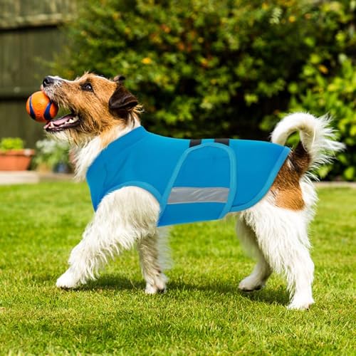 Image of MIGOHI Dog Anxiety Relief Coat,Comfort Anxiety Vest for Dogs,Adjustable Dog Anxiety Calming Wrap for Fireworks,Travel,Separation,Anxiety Jacket for Small Dogs,S,Blue