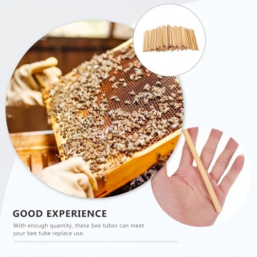 600 Stück Wildbienen Nisthülsen, 20cm Länge, Umweltfreundliche Bambus-Röhren Füllmaterial, Nachfüllpackung für Insektenhotel Solitärinsekten, Naturschutz Garten
