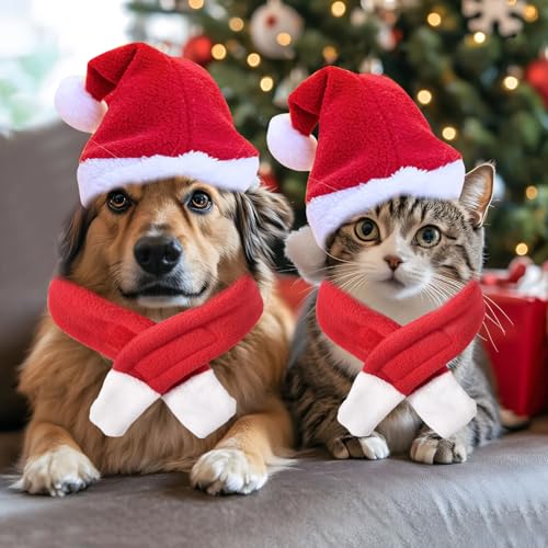 Katzen Weihnachtsmütze Und Schal, Katzen Mütze Deko Weihnachts Outfit, Weihnachten Kleidung Für Klein Katze, Weihnachtsmann-Mütze, Schal, Weihnachtskostüm Für Katze,Katzenbekleidung
