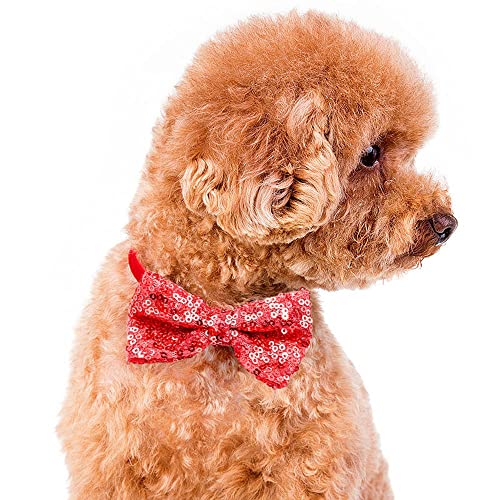 CHUYIX 4Pcs Einstellbare Pailletten Hund Fliege Halsbänder Haustierhalsbänder Hundepflege Zubehör Weihnachten Urlaub Pailletten Haustierhalsband Katze Welpen Kaninchen Elastisches Halsband