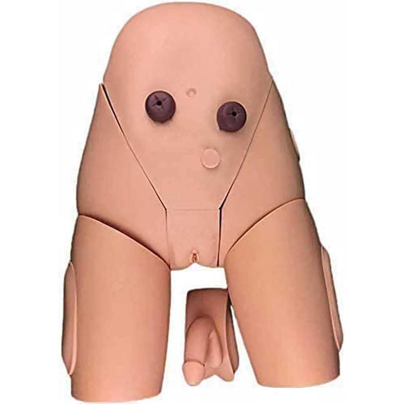 Modèle De Cathétérisme Interchangeable Homme-Femme, Moule pour l'enseignement du Cathétérisme, Formation Au Cathétérisme pour La Pratique Médicale