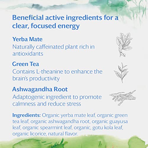 Grace Farms REVIVE Wellness Organic Tea Blend (16 Pyramid Sachets) | Yerba Mate, Green Tea, & Adaptogens | Natural Energy Coffee Replacement | Fairtrade & Kosher | Gives Back 100% of Profits - Image 5