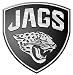 NFL Jacksonville Jaguars Chrome Automobile Emblem
