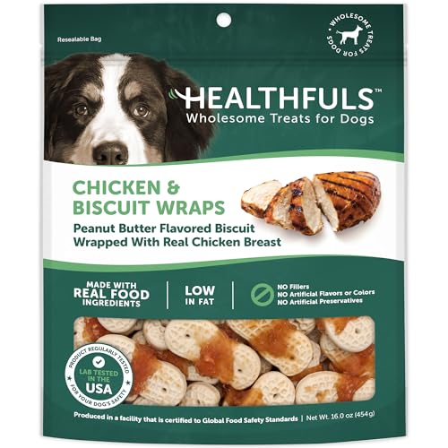 Healthfuls Chicken & Peanut Butter Flavored Dog Biscuits, 16oz