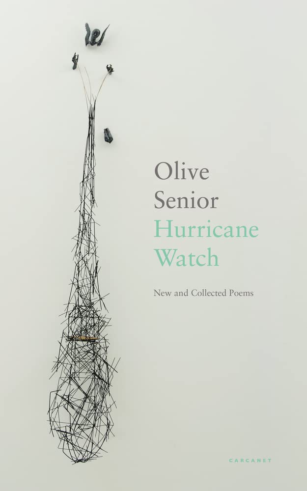 Hurricane Watch : New and Collected Poems by Olive Senior (2022, Trade ...