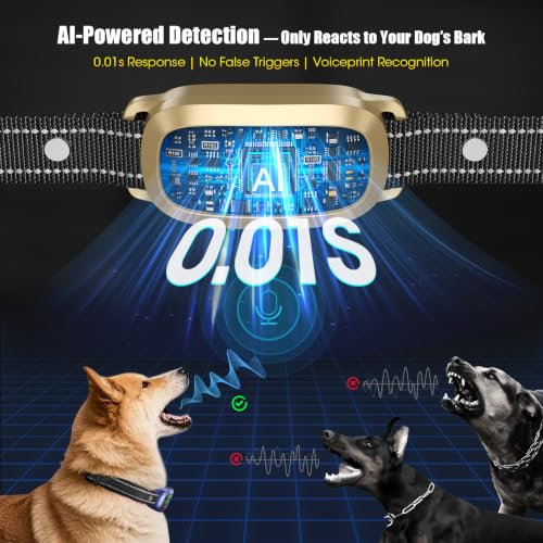 View 4