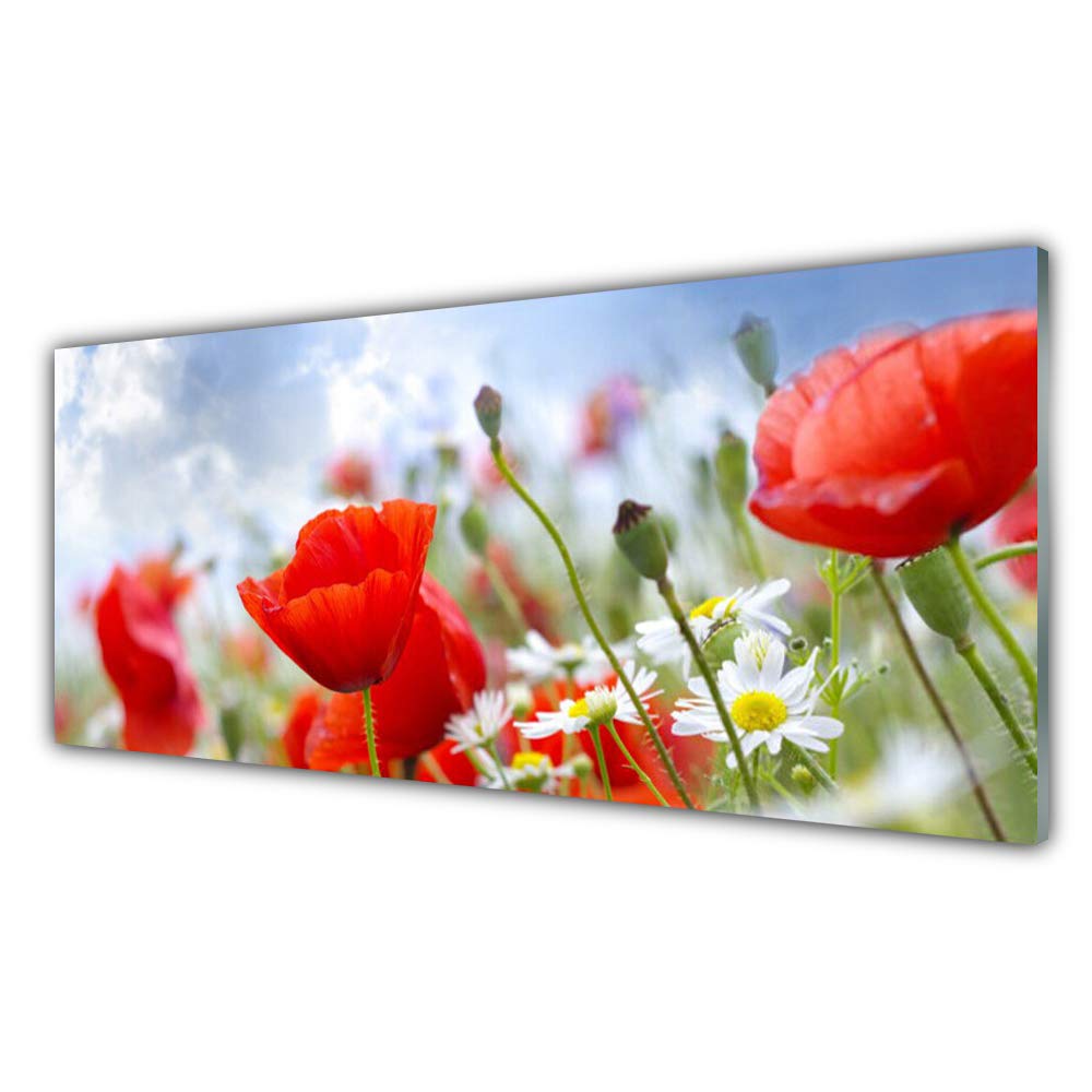 Tableau Mural Verre Acrylique 125x50cm Tulup Fleur Déco Moderne 4 Crochets