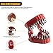 Denture braces, magnetic dental bed with 28PCS braces storage box, screwdriver braces ornament Suitable for 1/4 inch hexagonal braces and drive braces adapter with T crutch ratchet screwdriver (Red)