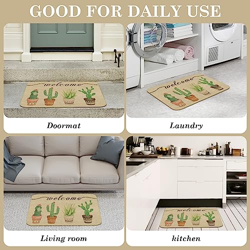 Comfoyar Cactus Vegetale in Vaso Zerbino