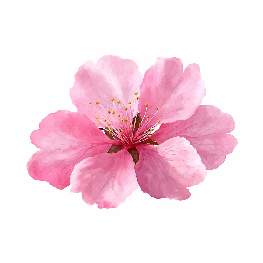 ZAMAEIU Landscape Canvas Painting Painted blossoms Wall Decor, Modern Artwork, For Bedroom Living Room Bathroom Home Office Room Decorations(pink)-60x90cm Unframed