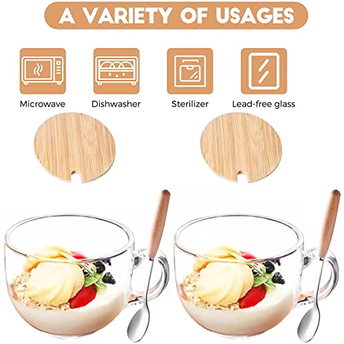 Donyu 2 Pieces Glass Cup 16Oz Clear Coffee Mug With Lids Spoon For Breakfast Tea,Milk,Beverage,Oats,Yoghurt #TOP2