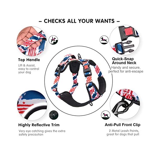 PoyPet-No-Pull-Dog-Harness-Release-at-Neck-Reflective-Adjustable-No-Choke-Pet-Vest-with-Front-Back-2-Leash-Attachments-Soft-Control-Training-Handle-for-Small-Medium-Large-Dogs Reflective No Pull Dog Harness