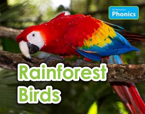 rainforest birds