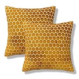 HATHAETY Honey Bee Throw Pillow Covers Honeycomb Beeswax Square Pillow Cases 18x18 Inch Set of 2 Pollen Tracks Outdoor Decorative Pillowcase Cushion Cover for Couch Sofa
