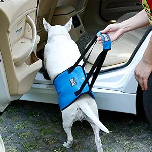 GG Enterprise Dog Lift Harness Mobility Lifting Aid Support Harness with Handle M Blue