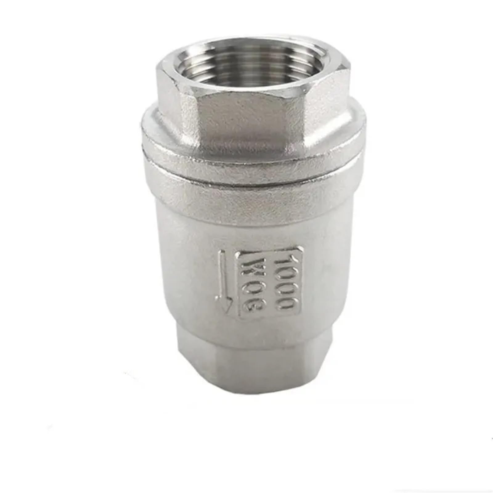 Dkgnyxnplj Dn8 1/2" 3/4” 1” 1-1/4" 1-1/2" 2”（-Dn50） Stainless Steel Ss304 Vertical Spring Check Valve(Dn8)