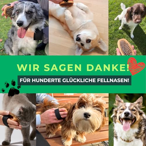 Hundebürste Unterwolle für Langhaar - 100% Naturborsten - Made in Germany - sanfte Unterfellbürste zum Entfilzen & Glätten ohne Ziepen - geölter FSC® Holzgriff + extra Bürstenreiniger