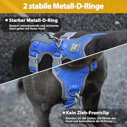 Huntboo Sicherheitsgeschirr Hund Ausbruchsicher, Panikgeschirr für Hunde, Reflektierendes Geschirr mit Gepolstertem Griff, Verstellbare Weste für Kleine Hunde, die Spazieren Gehen (Meeresblau,S)