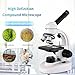 Woehrsh Compound Microscope Kit with WF10x and WF25x Eyepieces, Slides for Students, Home School Lab