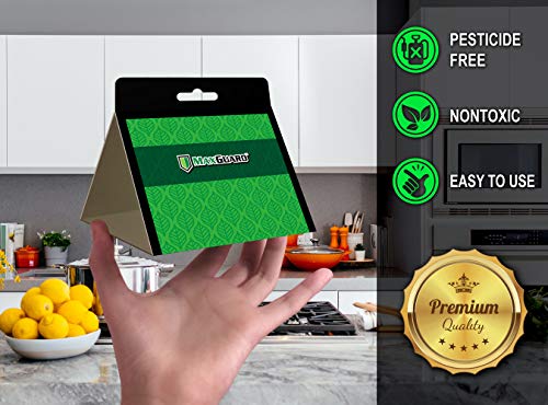Image of MaxGuard Pantry Moth Traps (4 Traps Trial Pack) Extra Strength Pheromones | Non-Toxic Sticky Glue Trap for Food and Cupboard Moths in Your Kitchen | Trap and Kill Seed Grain Flour Meal Moths |