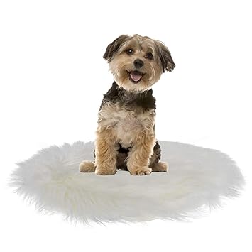 Pet Electric Blanket, Cat Heating Plush Mat USB Charging Electric Blanket Heating Mat Plush Pet Mat for Small Dogs Cats(Imitation Mink [White])