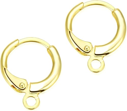 100 piezas Adabele hipoalergénicas resistentes al deslustre de 0.630 in (0.63 pulgadas) redondas arracadas Huggie ganchos para aretes con alambre de