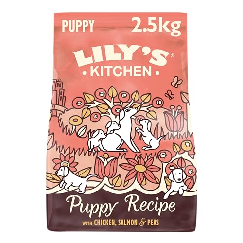Lily's Kitchen Mit natürlichen Zutaten hergestellt Trockenfutter für Welpen, Lachs & Erbsen Getreidefreie Rezeptur 2.5kg Beutel