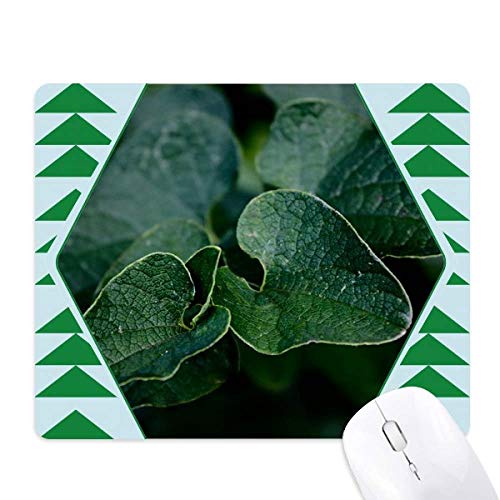 Tapis de souris green pine tree contre la fatigue du poignet tapis caoutchouc