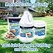 Septic Tank Treatment Packets | Enzyme Rapid Action Breaks Down Grease, Paper, Organic Solids - Controls Drain & Septic Odors - Eco Safe Sewage Backup Prevention (Pack of 6)