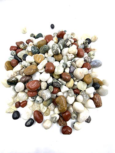 BUM BUM BHOLE Premium Multi-Colors Onyx Pebbles for Decoration & Plants Pots Garden & All Purpose Pack 500gm-image-3
