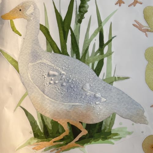 Vinilo Decorativo de Pato para Ventana 38x60 cm miniatura 3