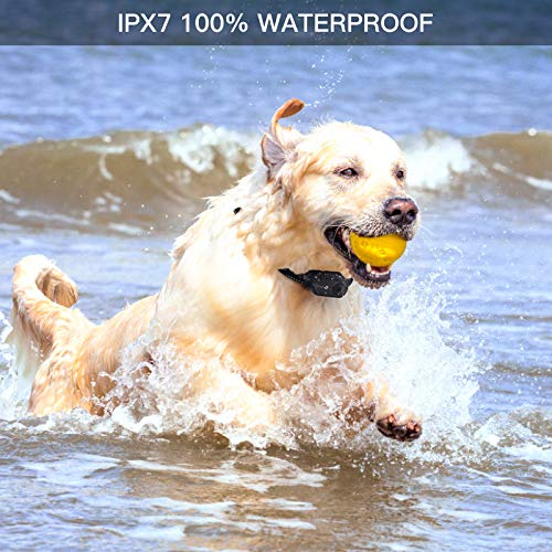 Dog Training Collar With Voice Commands, Beep, Vibration And Shock Modes, Rechargeable Waterproof Dog Shock Collar, Adjustable Levels Electric Dog Collar Set For Small Medium Large Dogs #TOP5