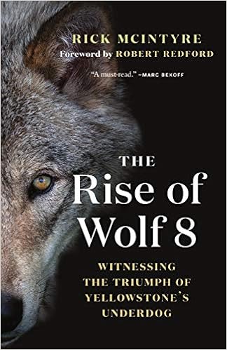 The Rise of Wolf 8: Witnessing the Triumph of Yellowstone's Underdog (The Alpha Wolves of Yellowstone, 1) book cover