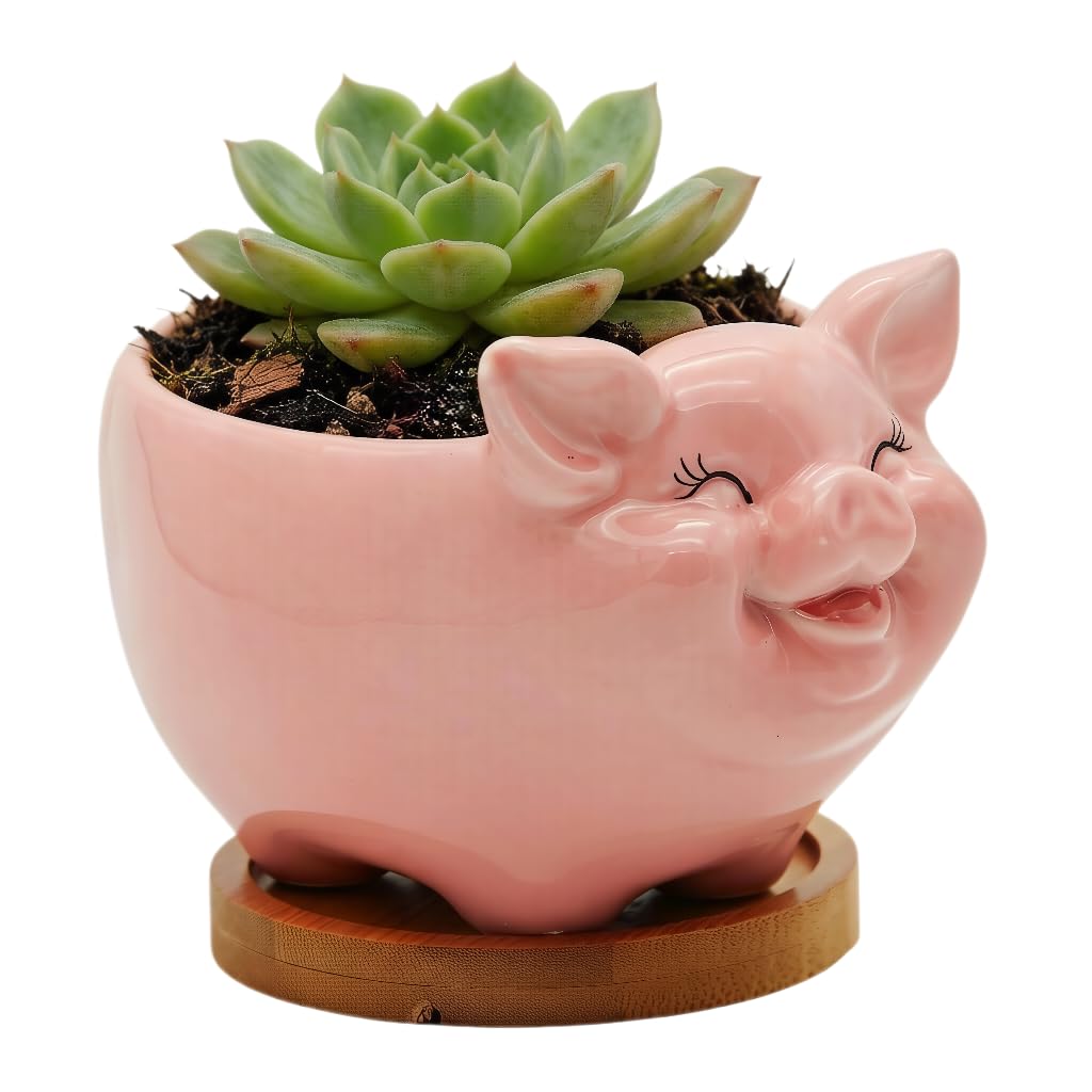 Succulent Pots, Cute Animal Pig Shaped Ceramic Cactus Flower Planters with Bamboo Tray -Plant Not Included (Pink, Medium)