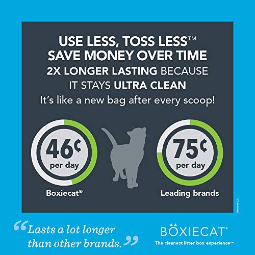 Boxiecat Premium Clumping Cat Litter - Scent Free - Clay Formula - Ultra Clean Litter Box, Longer Lasting Odor Control, Hard Clumping Litter, 99.9% Dust Free