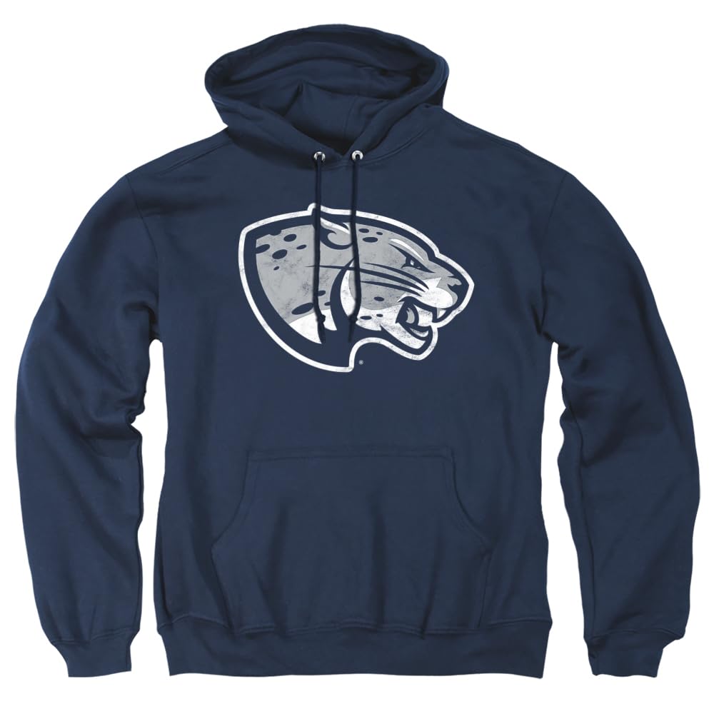 LOGOVISION Official Collegiate Distressed Primary Logo Adult Pullover Hoodie Collection — view 255