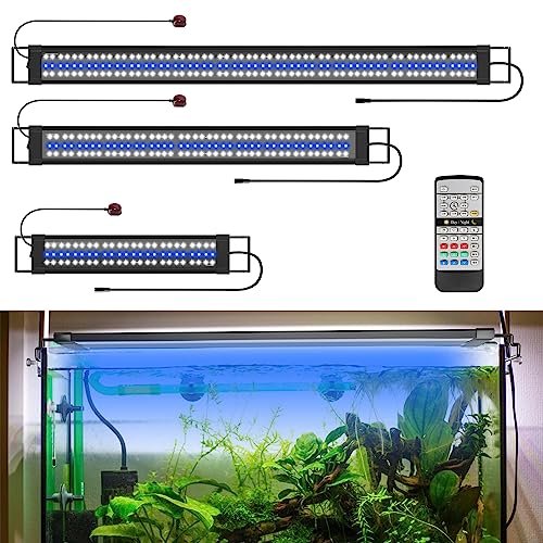 Aquarium with LED The 15 best products in comparison Aquaristics