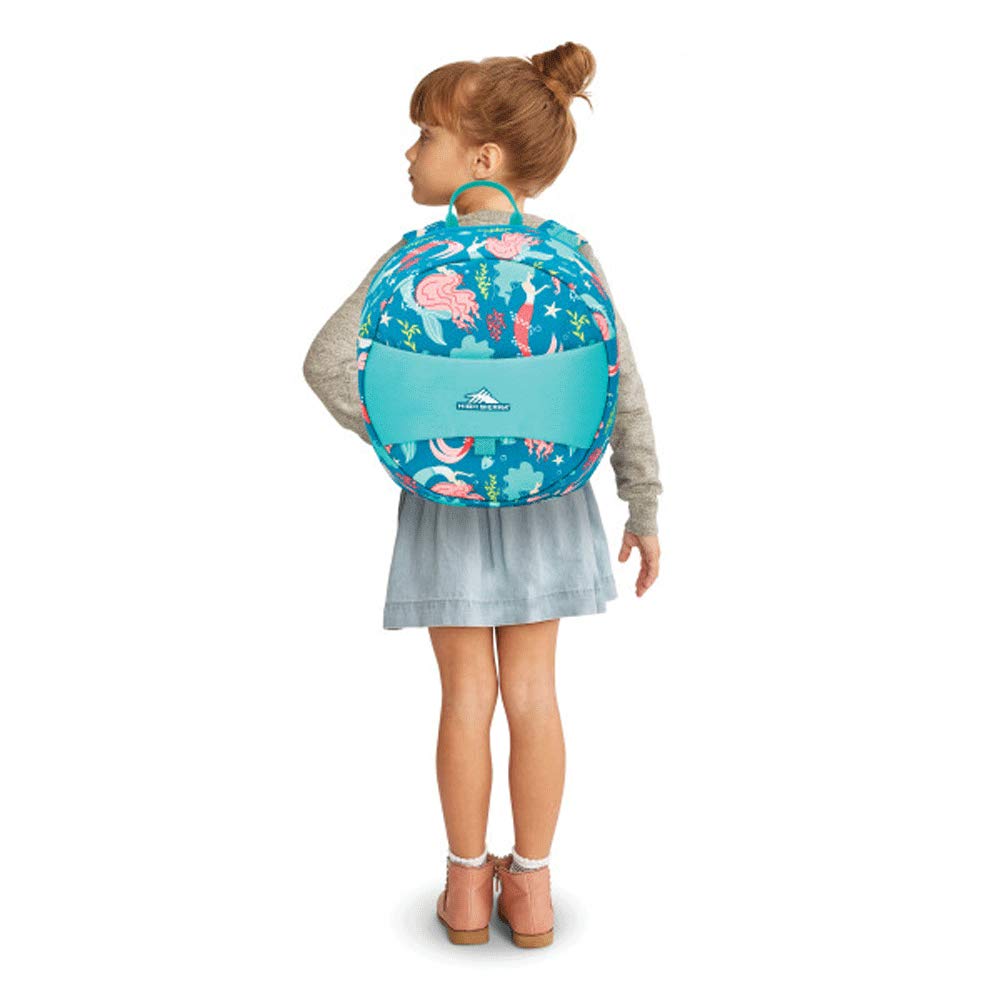 High Sierra Teddy Buddy 2 Piece Luggage Set with Wheels on Hard Rolling