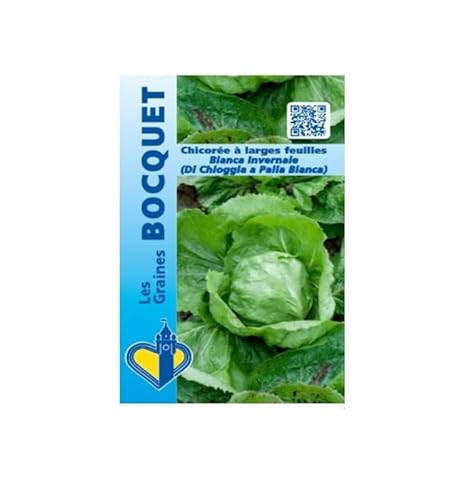 Sachet de graines de Chicorée à large feuille Bianca Invernale - 3 g - légume feuille - LES GRAINES BOCQUET